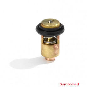 Thermostat 11971749800